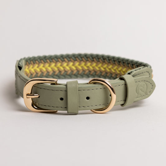 Sage Collar - Multi