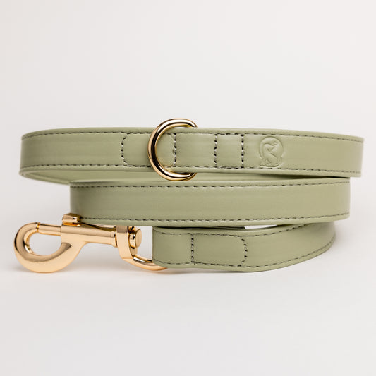 Sage Lead